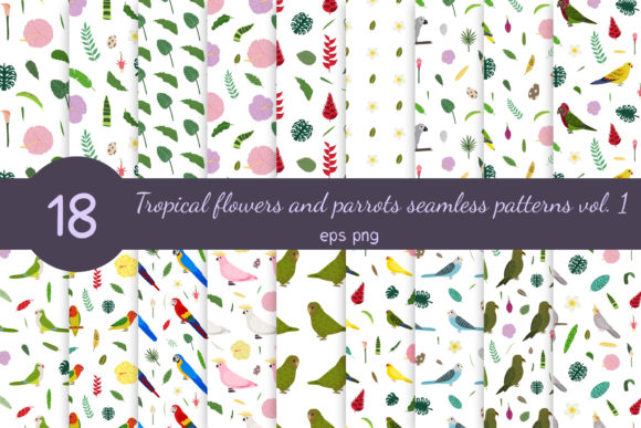 Parrots and Tropical Flowers Patterns Explained